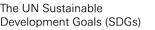 The UN Sustainable Development Goals (SDGs) 
