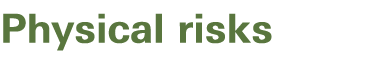 Physical risks