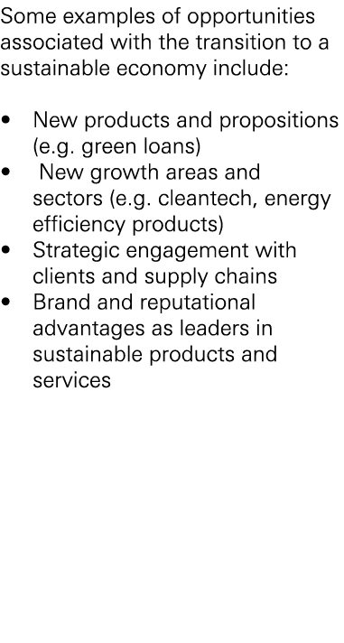 Some examples of opportunities associated with the transition to a sustainable economy include: • New products and pr...