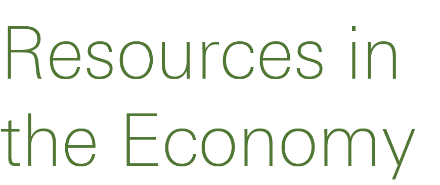 Resources in the Economy 